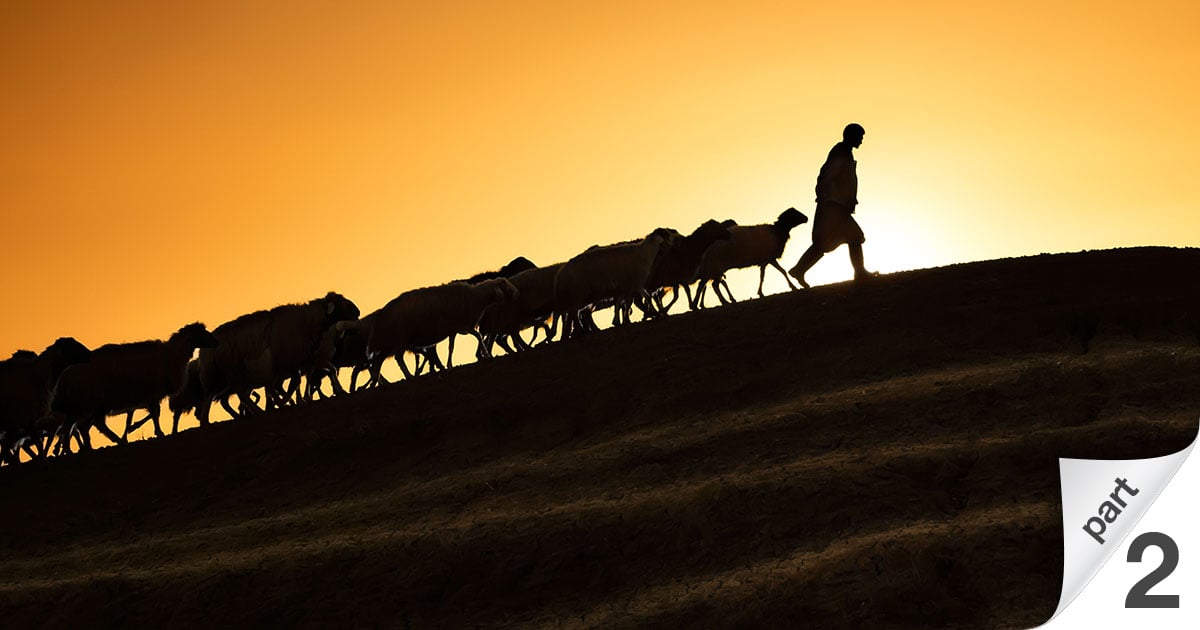 Fifty Years of Shepherding God’s People with Love and Power, Part 2