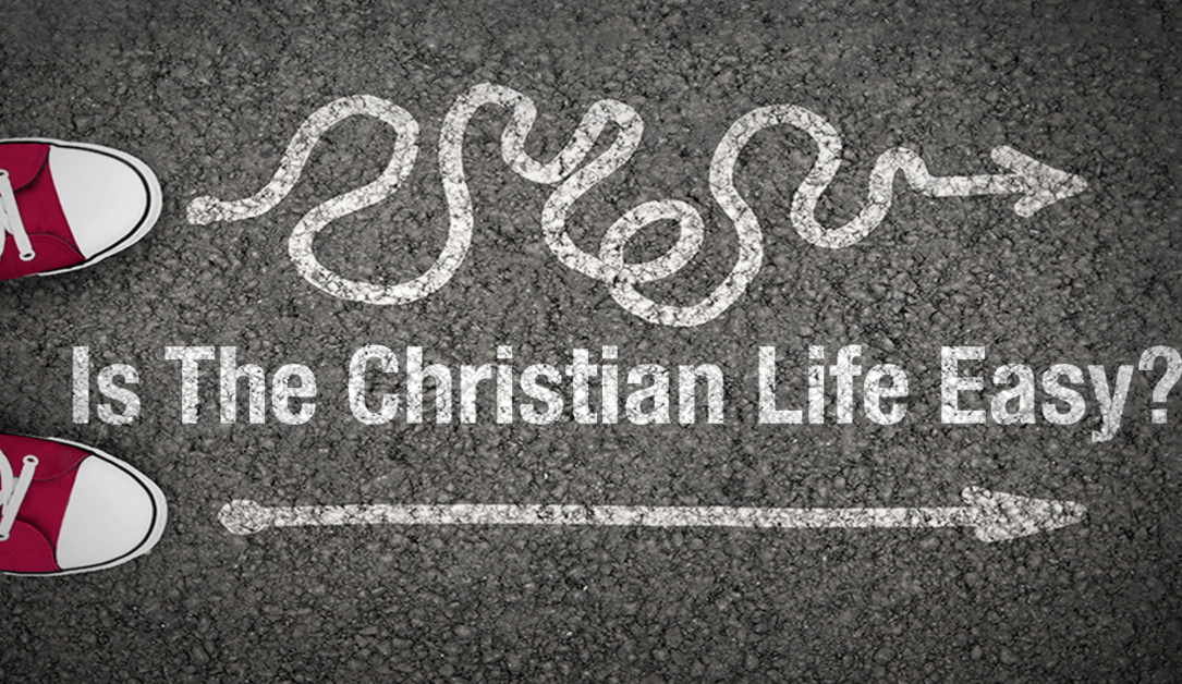 Who Ever Said The Christian Life Is Easy?