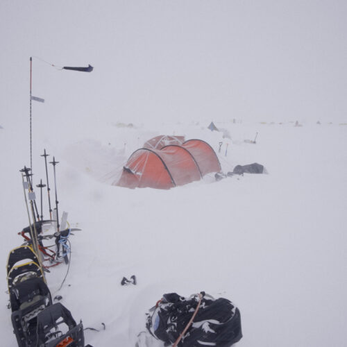 Douglas Mawson's Expedition: A Lesson in Perseverance