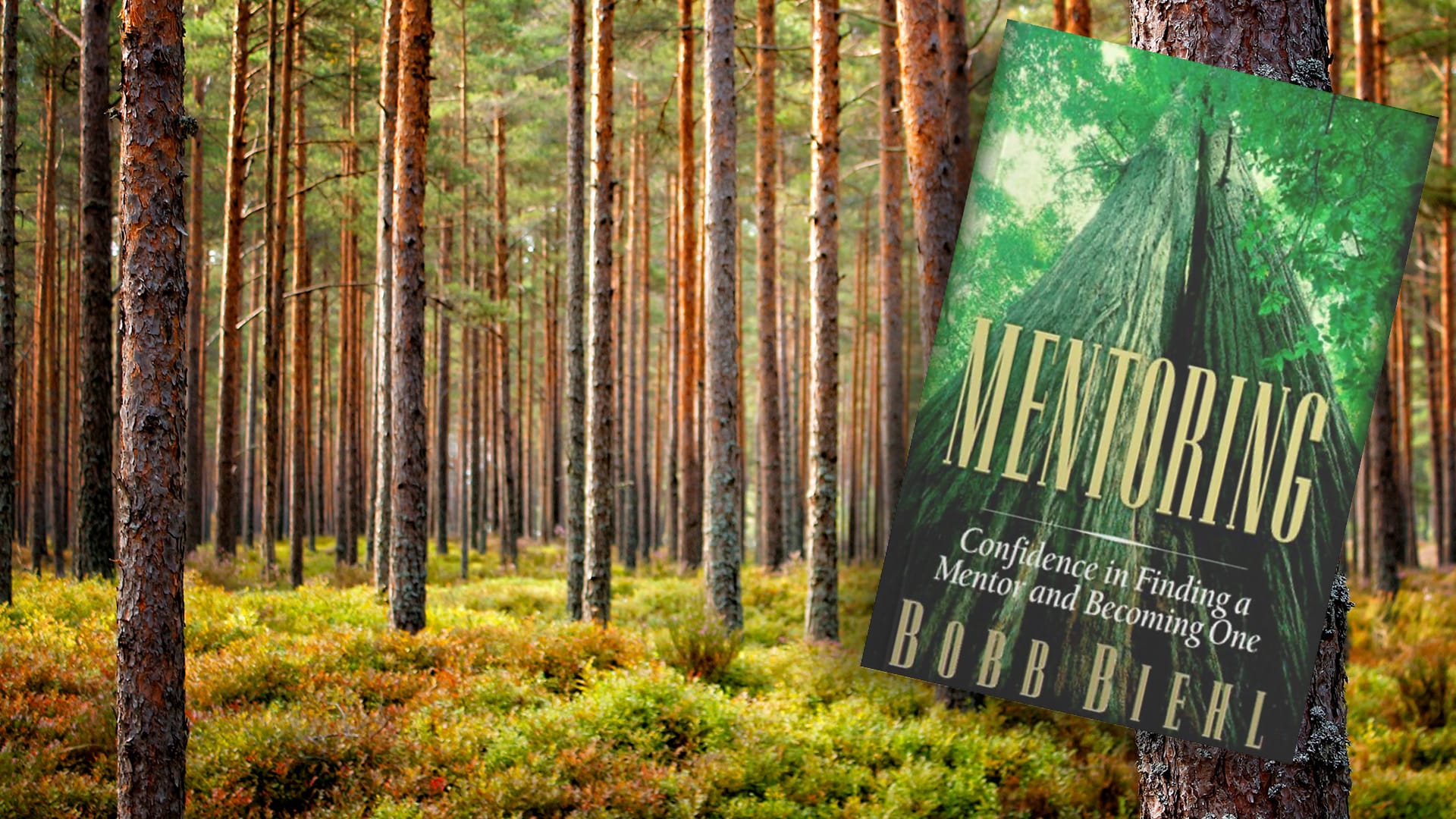 Mentoring: Reaching Your God-Given Potential, Part 2