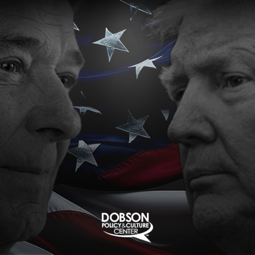 Don’t Let the Assassins Win!