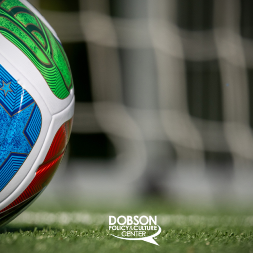 America and the World Cup