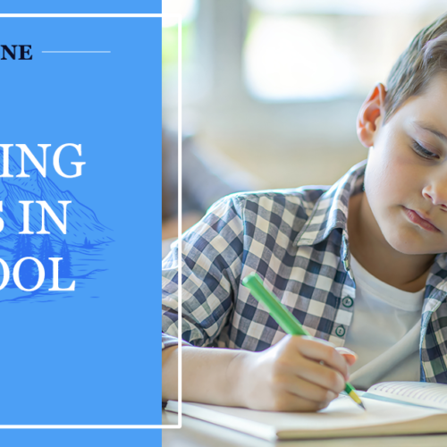 Bringing Up Boys: Helping Boys in School