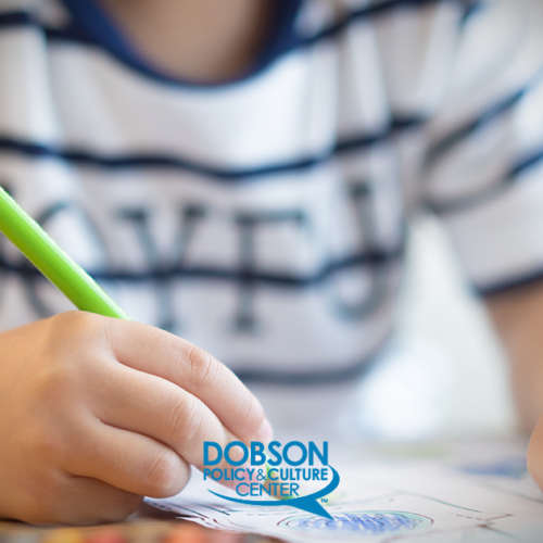 The Left’s Attack on Homeschoolers and Faith